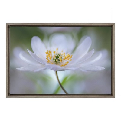 23" x 16" Nemorosa Nirvana Framed Canvas Wall Art - Amanti Art