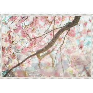 Amanti Art Branch Blossoms by Carrie Ann Grippo-Pike Framed Canvas Wall Art - 1 of 4