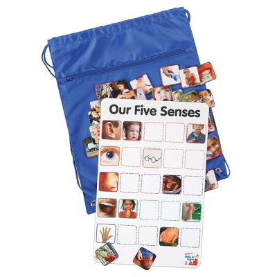 Kaplan Early Learning Company Our Five Senses Interactive Game