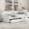 Whisen Elegant Design Twin Size Upholstered Daybed with 2 Drawers - 3 of 4