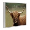 Stupell Industries Highland Cattle Shaggy Hair Country Animal Portrait Photography Framed Giclee Art - 2 of 4