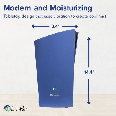 Graphite Ultrasonic Humidifier with Automatic Shutoff