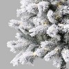 4.5' Flocked Douglas/Virginia White Led 5mm No Cap Winter White - Wondershop™ - 4 of 4