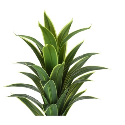 47" Tall Green Artificial Dracaena Tree in Black Pot