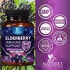 Elderberry Capsules 1200mg Immune System Support Sambucus Nigra Extract - 60 Capsules - 3 of 4