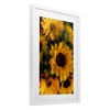 Stupell Industries Bunches of Garden Sunflowers Framed Print Under Glass Art - 2 of 4