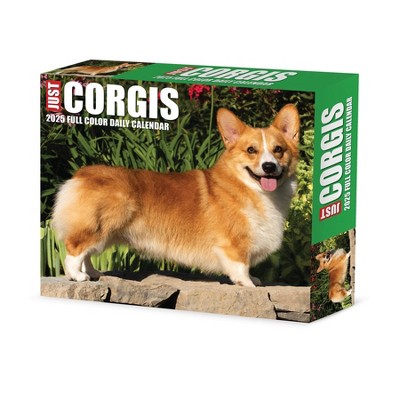Willow Creek Press Corgis 2025 Box Calendar: Daily Desktop Planner, 5x6", Blue, All Ages, Paper, Glue Binding