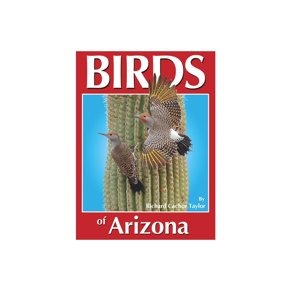 Birds of Arizona - by Richard C Taylor (Paperback)