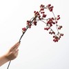 31"H Sullivans Artificial Christmas Dark Red Berry Twig Spray, Indoor Christmas Decor - 3 of 3