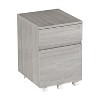 NicBex 2-Drawer Mobile File Cabinet Office Storage Organizer Under Desk Storage for Home, Office - 2 of 4