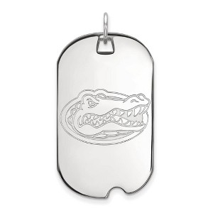 Black Bow Jewelry 10k White Gold Florida Gators NCAA Large Pendant - 1 of 3