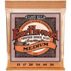 Ernie Ball 2144 Earthwood Phosphor Bronze Medium Acoustic Guitar Strings 2-Pack - 2 of 3
