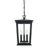 Elegant Lighting Cayman 9.5 Inch Outdoor Pendant in Black - 2 of 4