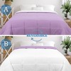 PiccoCasa Comforter Lightweight Quilted Down Duvet Insert with 6 Corner Tabs - 2 of 4