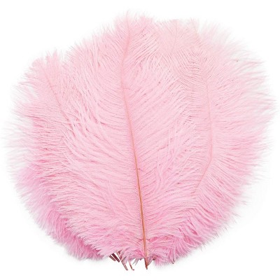 Bright Creations 14 Pack Pink Ostrich Feather Plumes 10 12 Inches for Crafts, Home, Wedding & Party Decorations