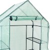 Sunnydaze Outdoor Portable Tiered Growing Rack Deluxe Walk-In Greenhouse with Roll-Up Door - 4 Shelves - Green - image 4 of 4
