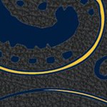 california golden bears