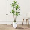 Artificial Dracaena Tree, Faux Dracaena Tree with Tall White Planter, Ideal for Home Decor and Housewarming Gift - image 4 of 4