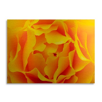 Kurt Shaffer 'Perfect Peony' Multi Panel Art Set Large
