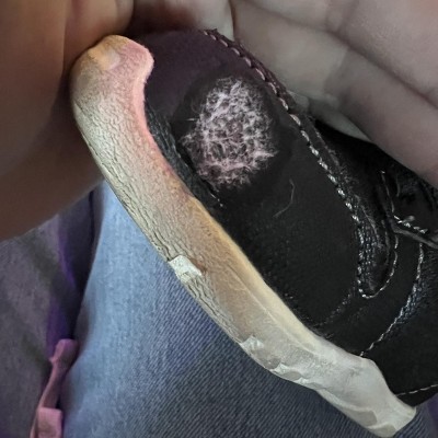 Guest review image 1 of 1, zoom in