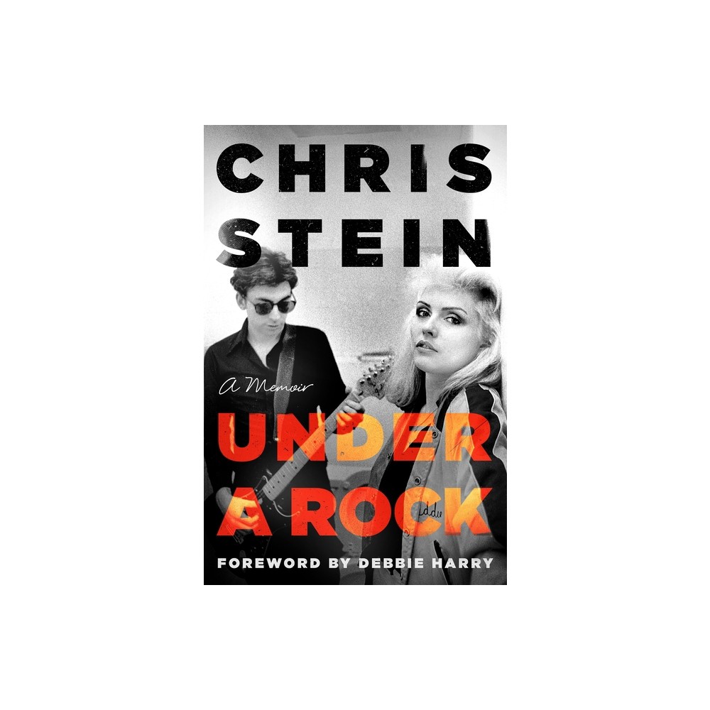 Under a Rock - by Chris Stein (Hardcover)