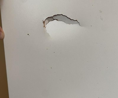 Guest review image 1 of 1, zoom in