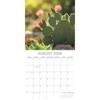 2026 Square Wall Calendar, Carpe Diem, 16-Month Mind, Body, Spirit Theme with 180 Reminder Stickers (12x12 In) - 3 of 4