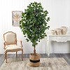 HomeStock  6 ft. Artificial Ficus Tree in Planter for Indoor/Outdoor - 3 of 4