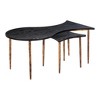 HomeRoots Set of Two Black and Bronze Wood and Steel Free Form Coffee And End Table - 4 of 4
