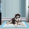 Swtroom Puppy Pee Pads Potty Training Disposable Pad 22" x 22" 100 Pcs - 4 of 4