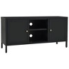 vidaXL TV Stand Black 41.3 in.x13.8 in.x20.5 in. Steel and Glass - image 2 of 4