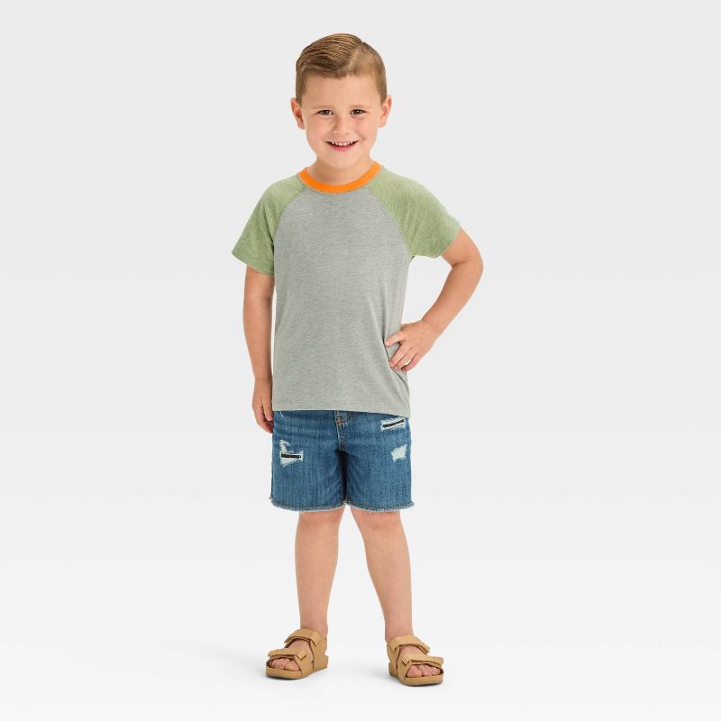 Toddler Boys' Colorblock Jersey Knit T-Shirt - Cat & Jack™ Gray, 4 of 5