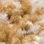 beige, camel, light brown, gray, medium brown