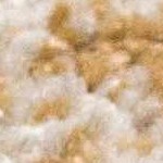 beige, camel, light brown, gray, medium brown