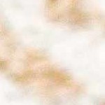 beige, camel, light brown, gray, medium brown