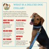 Country Brook Petz Deluxe Dog Collar - Critter Corner Collection - Made In The U.S.A. - 4 of 4
