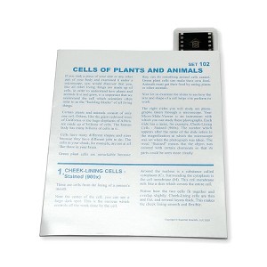 Supertek® Microslide, Cells Of Plants and Animals, 35mm - 1 of 2
