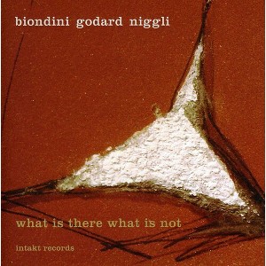Biondini-Godard-Niggli - What There What Not (CD) - 1 of 1
