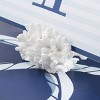 12ct "Seven Seas" Coral Photo Holder - image 2 of 3