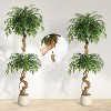 Artificial Ficus Tree, 4/5/6FT Faux Indoor Plant with White Pot, Tall Decorative Tree for Home & Office Decor - 4 of 4