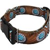 Country Brook Petz HossFit Jr Wide Deluxe Dog Collar - Country and Western Collection - 3 of 4