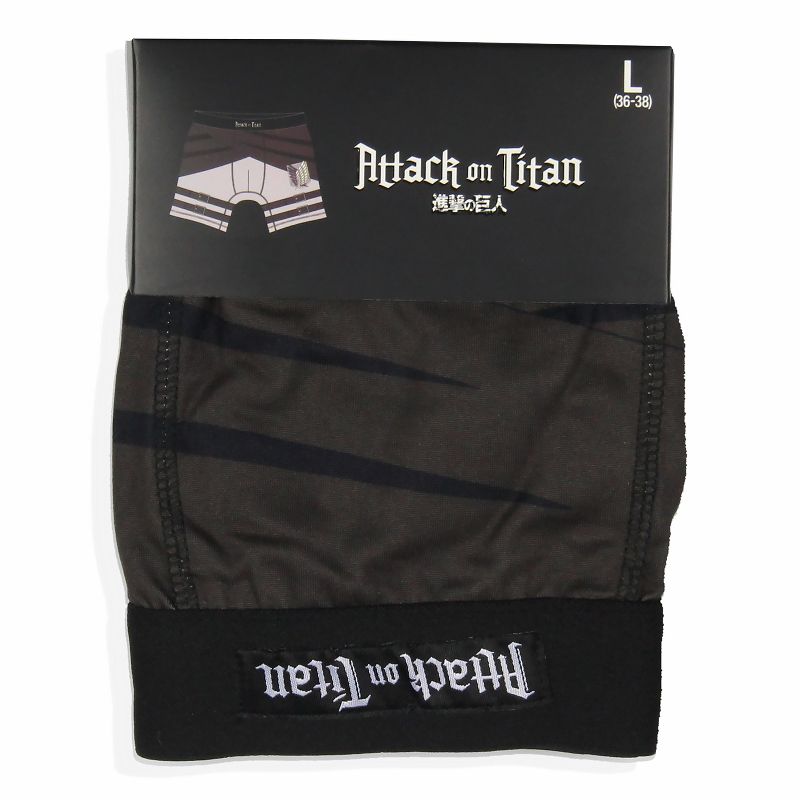 Bioworld Attack On Titan Survey Corps Wings Of Freedom Men's Boxer Briefs, 4 of 5