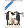 Trends International A Group Of Emperor Penguins Unframed Wall Poster Prints - 3 of 4