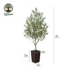 Artificial Olive Tree 5ft/6ft Tall Faux Indoor Plant - Realistic Green Leaves and Black Olives - Decorative Potted Tree for Living Room Home Office - 3 of 4