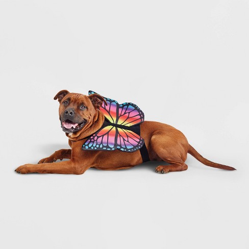 Halloween Butterfly Wings Dog and Cat Costume - Hyde & EEK! Boutique™ - image 1 of 4