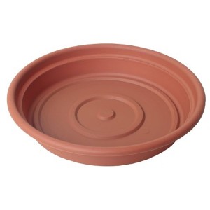 Bloem Dura Cotta Indoor/Outdoor Round Plastic Planter Saucer - 1 of 3