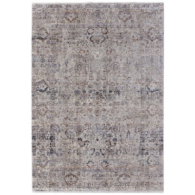 Caprio Transitional Distressed Taupe/Ivory/Gray Area Rug
