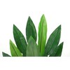 Whizmax Artificial Bird of Paradise Plant 7FT/6FT Fake Palm Tree, for Decor Faux Plants for Home Office with 20/17 Trunks Faux Leaves - 2 of 4