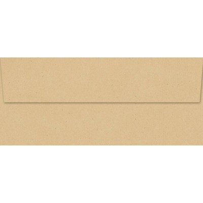 40ct Kraft Envelope