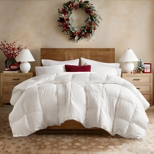 Harbor House Living 100% Cotton Solid Color Comforter, Premium 400 TC Sateen Face Lightweight White Goose Down Filling Comforter - 1 of 4